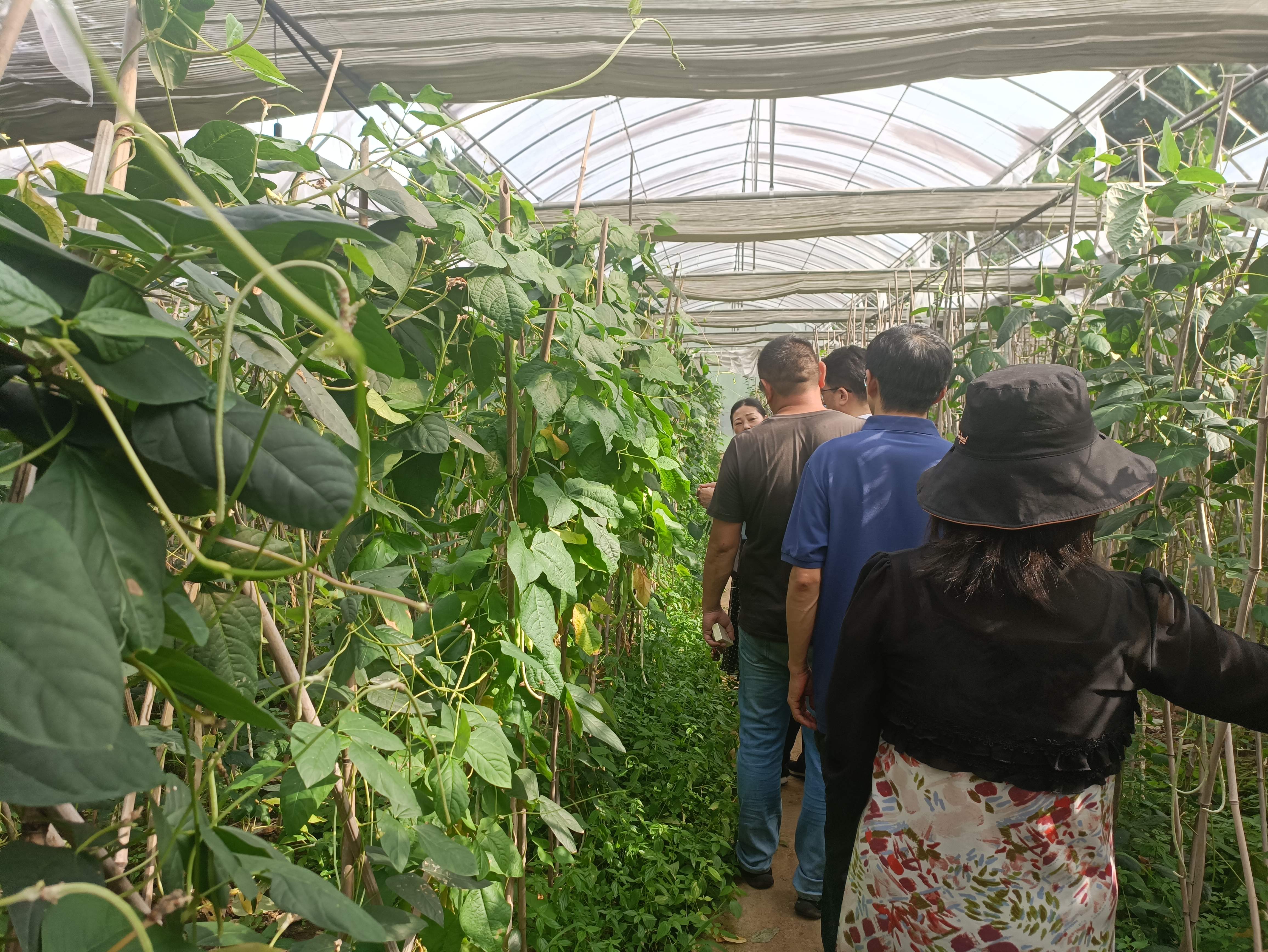 1689297524130377.jpg 图片1.jpg