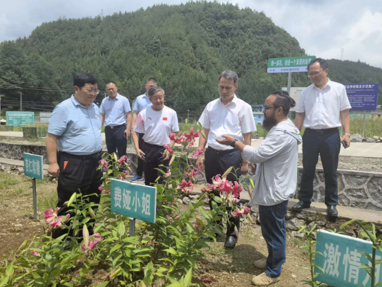 1690275139122657.jpg 1690275139122657.jpg