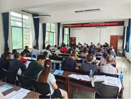 1690276105416547.jpg 1933148500.jpg