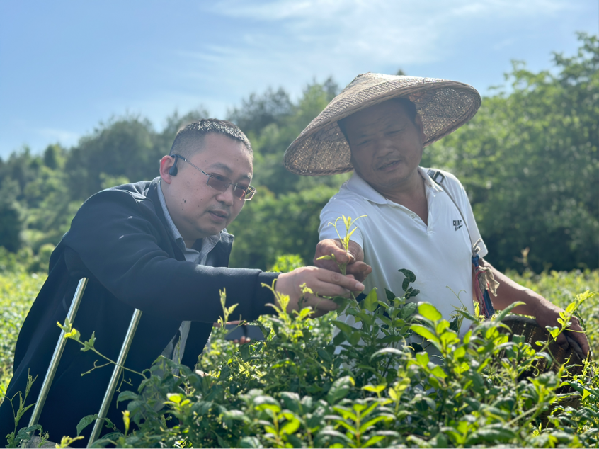 1716196205100711.png 1716196205100711.png