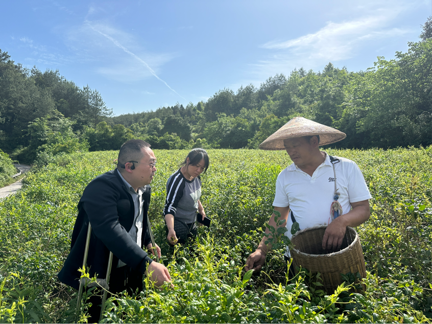 1716196269111022.png 1716196269111022.png