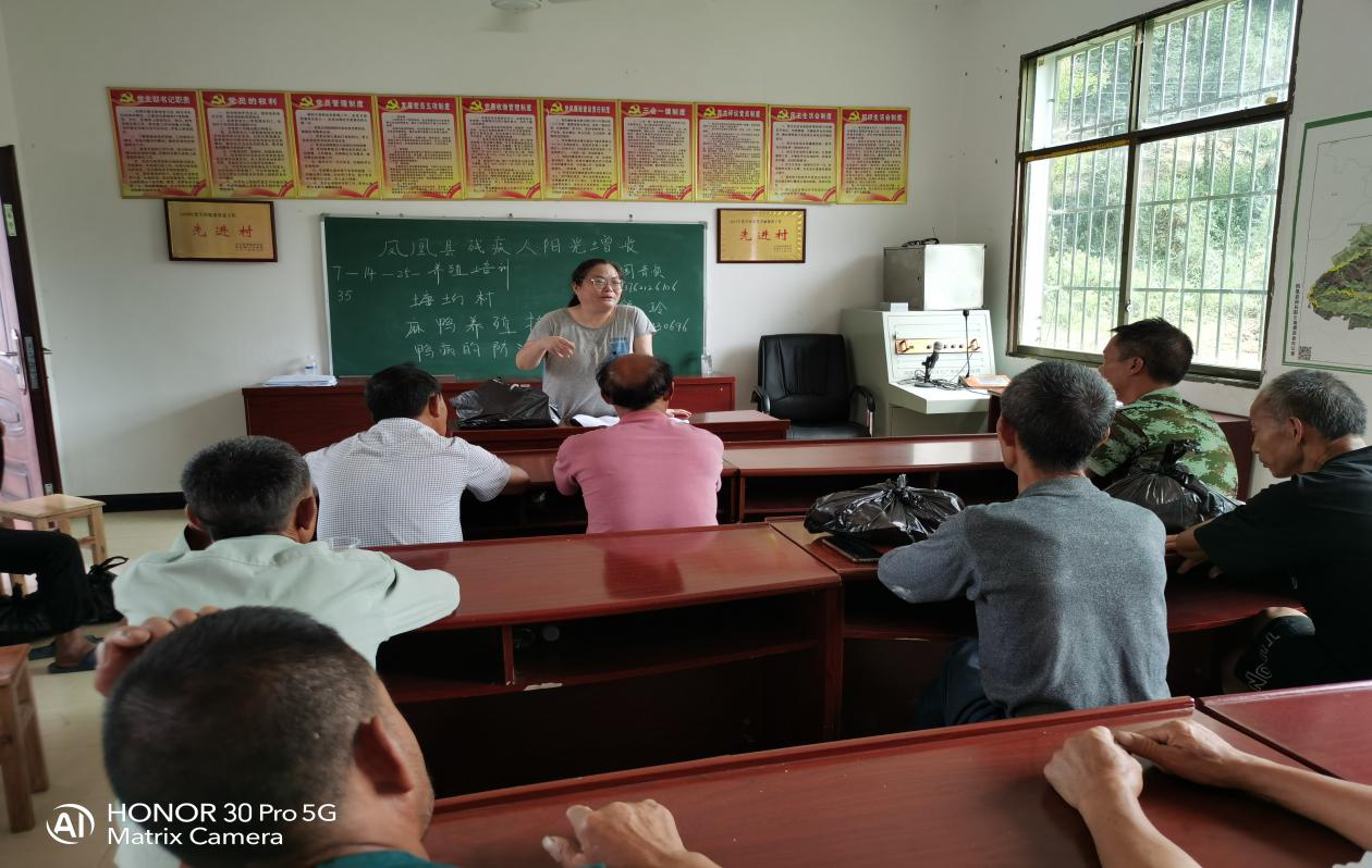 1737011827107824.png 1737011827107824.png