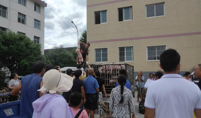 1737441558121543.png 1737441558121543.png