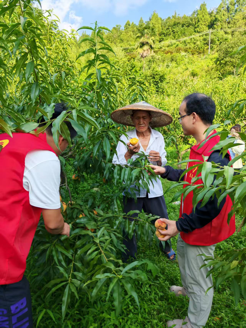 1765787478322308.jpg 微信图片_20251215163049_672.jpg