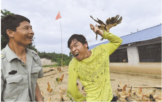 “鸡司令”的脱贫故事(图1) 3-200Q3151A6164.jpg